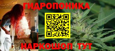 прущие грибы Бузулук