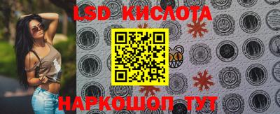 прущие грибы Бузулук