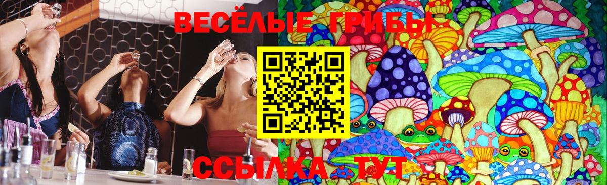 Лысьва  Псилоцибиновые грибы Cubensis  Вход с VPN  Псилоцибиновые грибы Psilocybine cubensis 